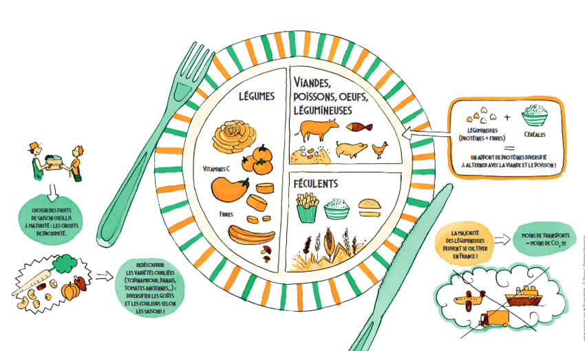Extrait de l'infographie « Un enjeu planétaire : l'alimentation durable »