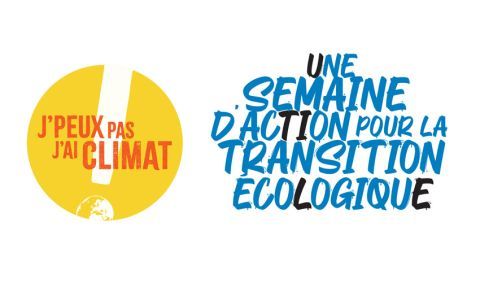 12 Idées D’ateliers Sur Le Changement Climatique, La Biodiversité Et ...