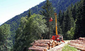 débardage des bois en aérien avec des câbles tendus sur des mâts 