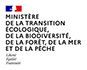 Logo du Ministere de la transition écologique, de la biodiversité, de la forêt, de la mer et de la pêche - Liberté Égalité Fraternitéjpg