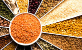 Haricots indiens, légumes secs, lentilles, riz et grains de blé dans un récipient