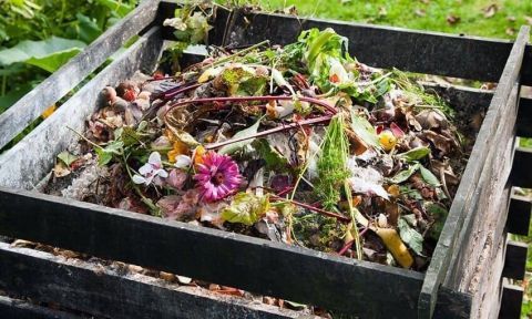 Jardinage - Le compost, faut-il le faire en tas ou en bac ?, Particuliers, Agir pour la transition écologique