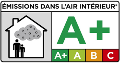 Image titrée « Émissions dans l’air », pictogramme d’une maison abritant deux silhouettes (adulte et enfant) surplombées par un nuage de fumée chargée de particules polluantes. Échelle A+ et A (vert), B (orange), C (rouge).