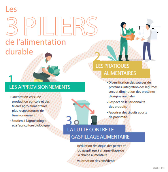 Infographie, les 3 piliers de l'alimentation durable
