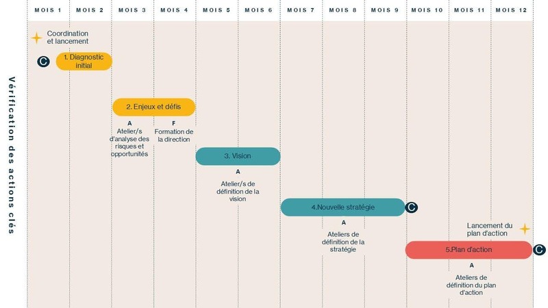 Infographie sur l’accompagnement ACT Pas à Pas. Transcription détaillée ci-après.