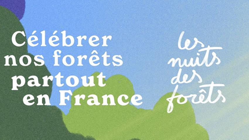 Célébrer les forêts partout en France ; Les nuits des forêts
