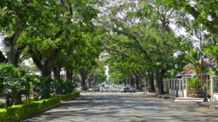 2025-02-27-convention-promotion-velo-papeete-pirae-rex.jpg