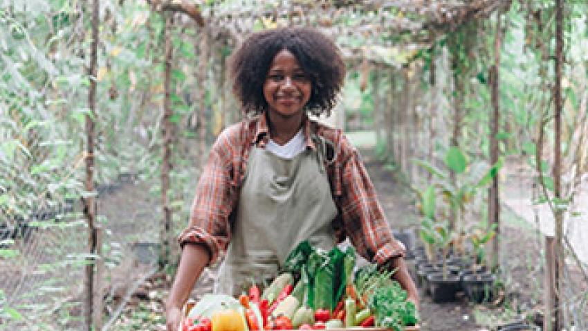alimentation-locale-qualite-proximite-rex.jpg