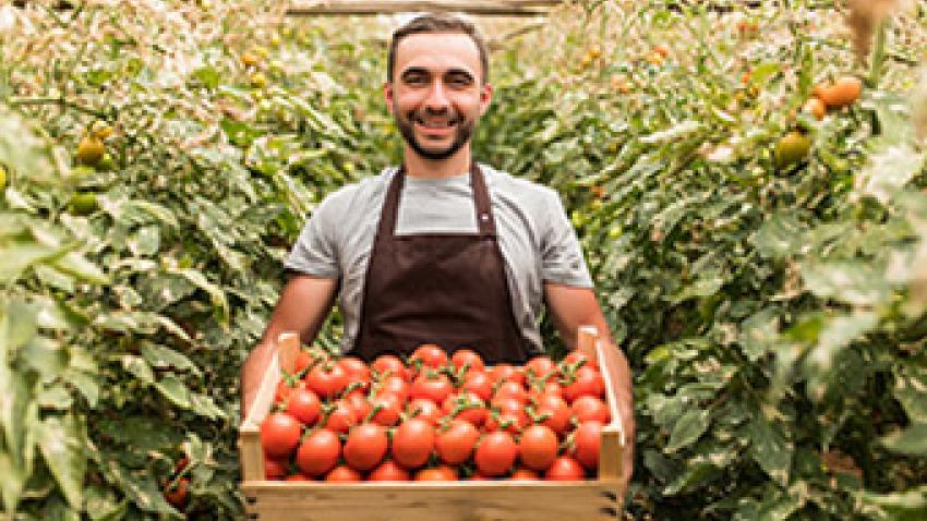 alimentation-saine-locale-rex.jpg