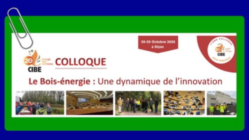 Colloque ; Le bois-énergie : une dynamique de l'innovation