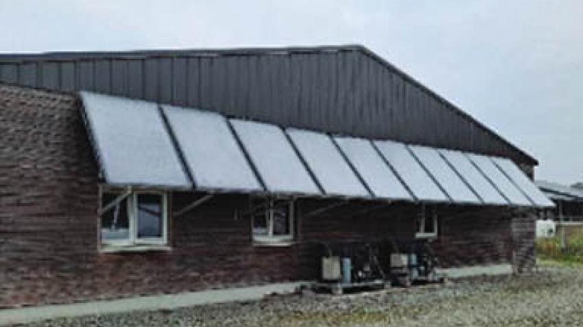ferme-menard-rex.jpg