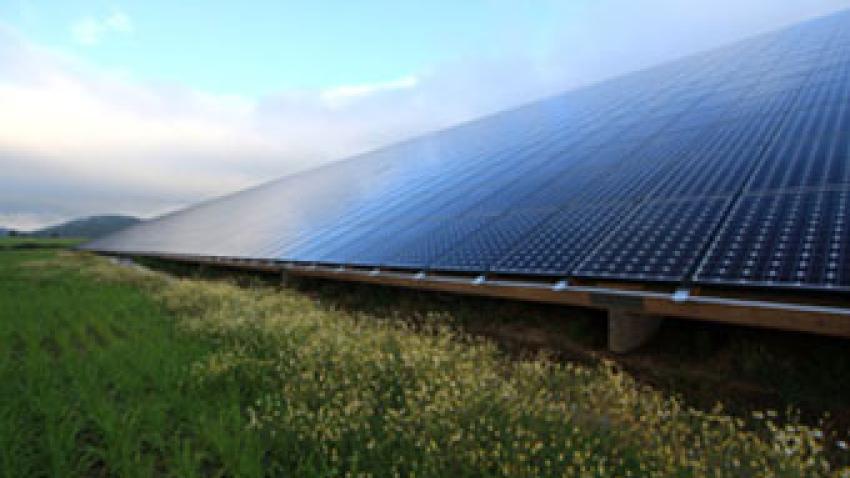panneaux-photovoltaiques-rex.jpg