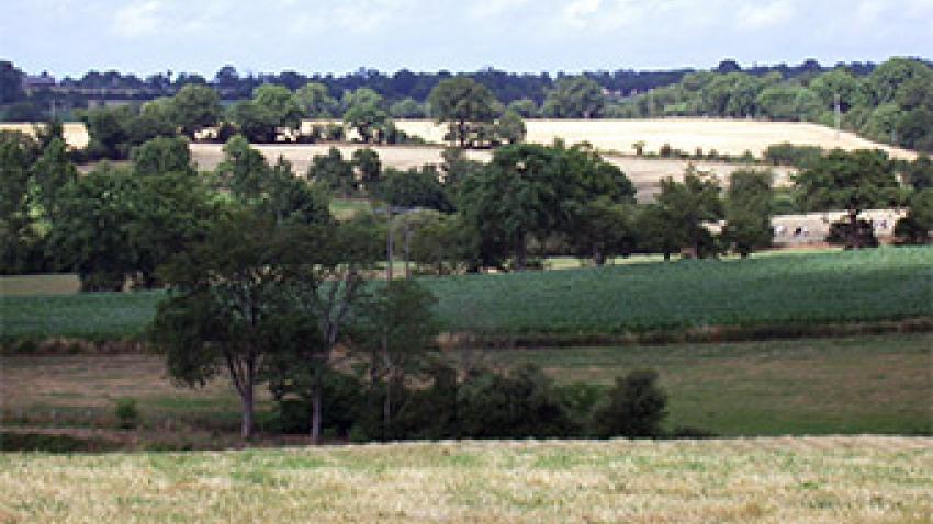 pat-haute-mayenne-rex.jpg