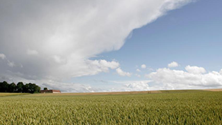 pat-pays-de-la-loire-champ-rex.jpg