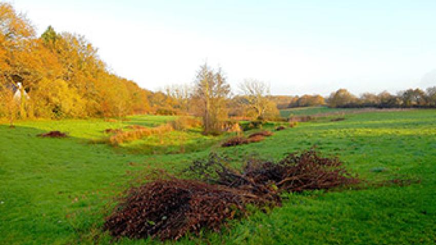 pat-pays-de-la-loire-rex.jpg