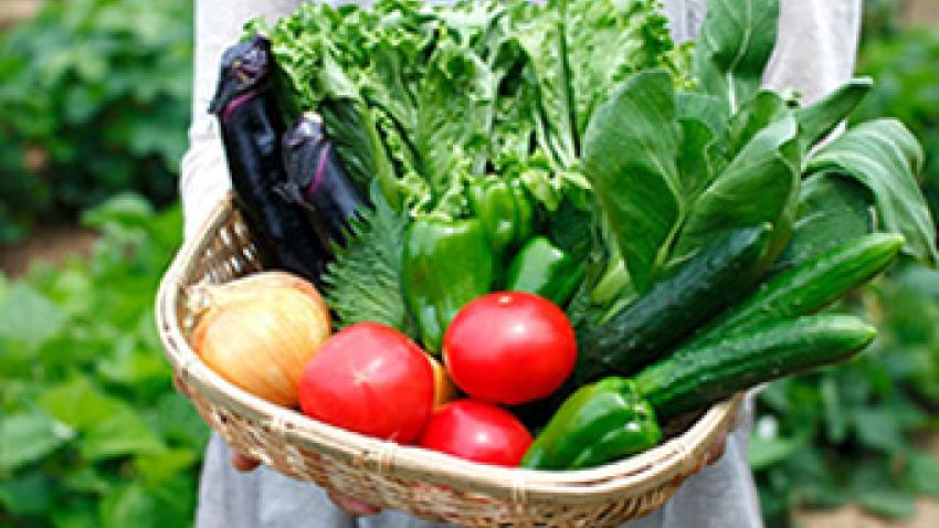 relocaliser-alimentation-circuits-courts-rex.jpg