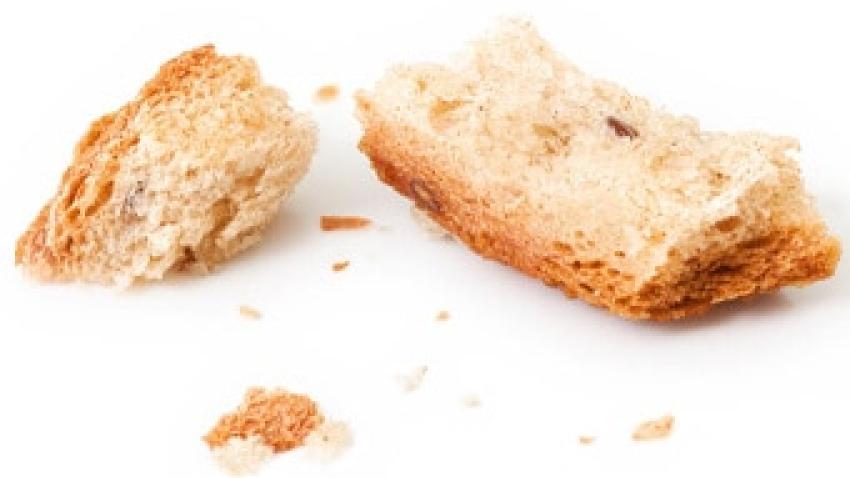 retour-experience-ecoconception-baguette-rex.jpg