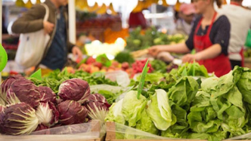 rex-lyon-systeme-alimentaire-plus-durable-rex.jpg