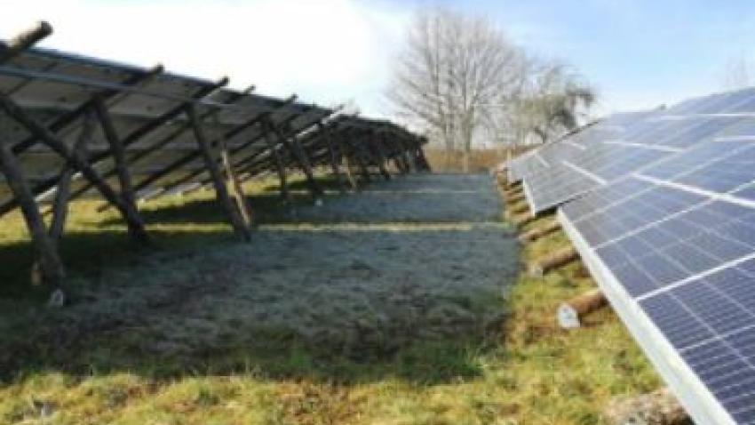 rex-parc-solaire-grand-figeac-rex.jpg