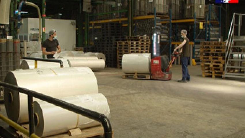 rex-reborn-recyclage-plastiques-rex.jpg