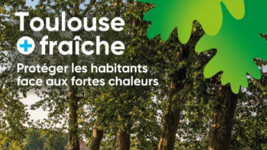 toulouse-proteger-habitants-chaleurs-rex.jpg