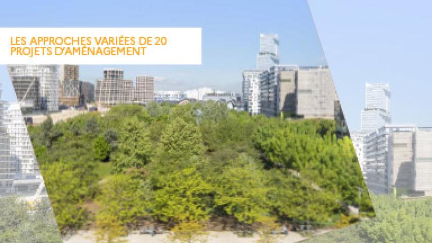 vegetaliser-20-actions-rafraichissement-urbain-rex.jpg