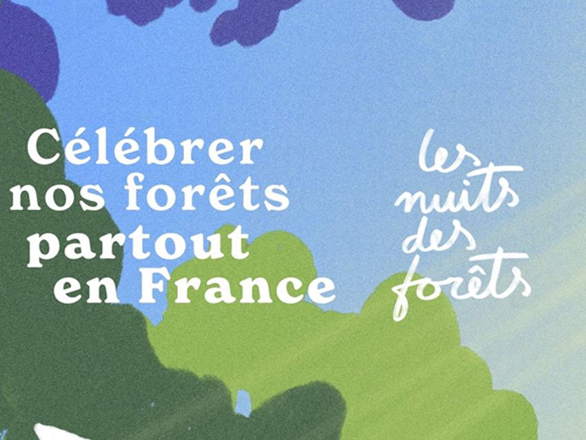 Célébrer les forêts partout en France ; Les nuits des forêts