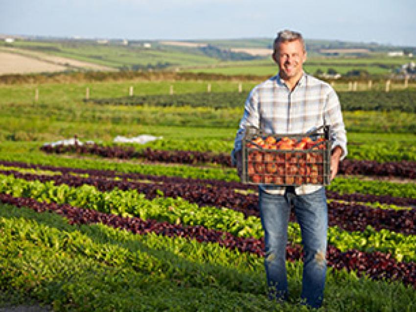 alimentation-locale-qualite-rex.jpg