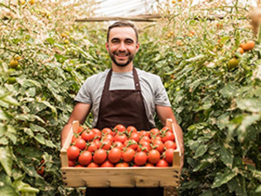 alimentation-saine-locale-rex.jpg