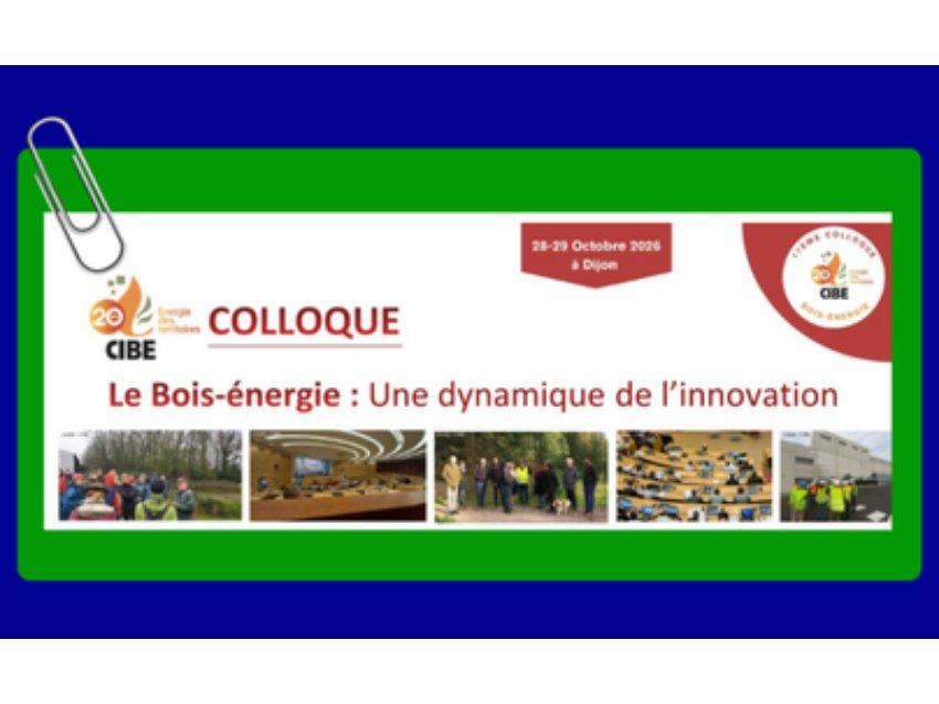 Colloque ; Le bois-énergie : une dynamique de l'innovation