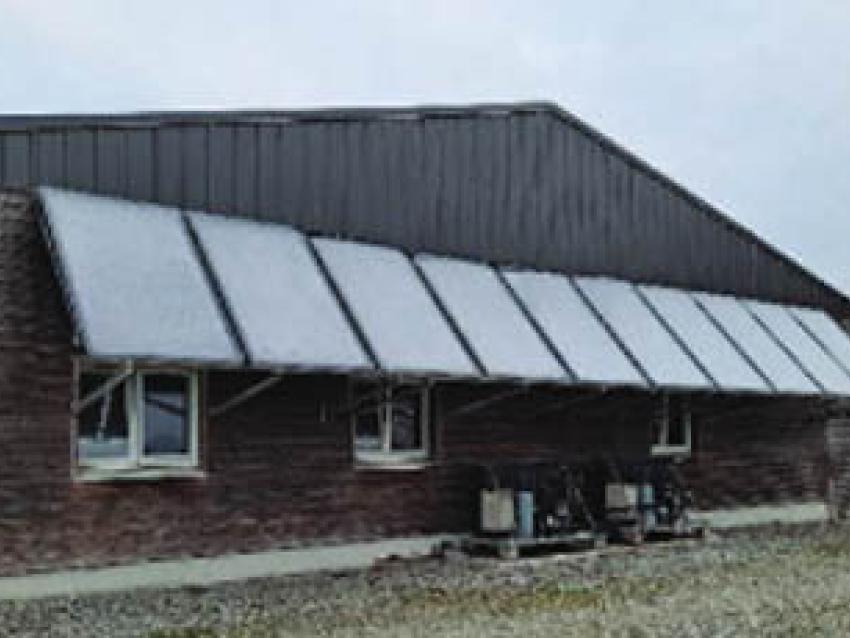 ferme-menard-rex.jpg