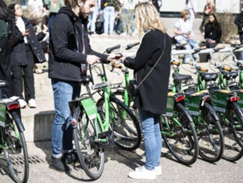 free-velo-v-rex.jpg