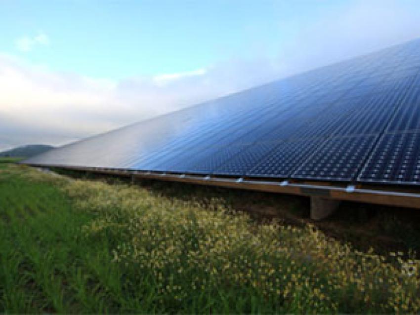 panneaux-photovoltaiques-rex.jpg