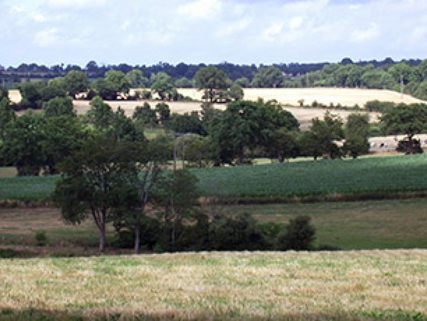 pat-haute-mayenne-rex.jpg