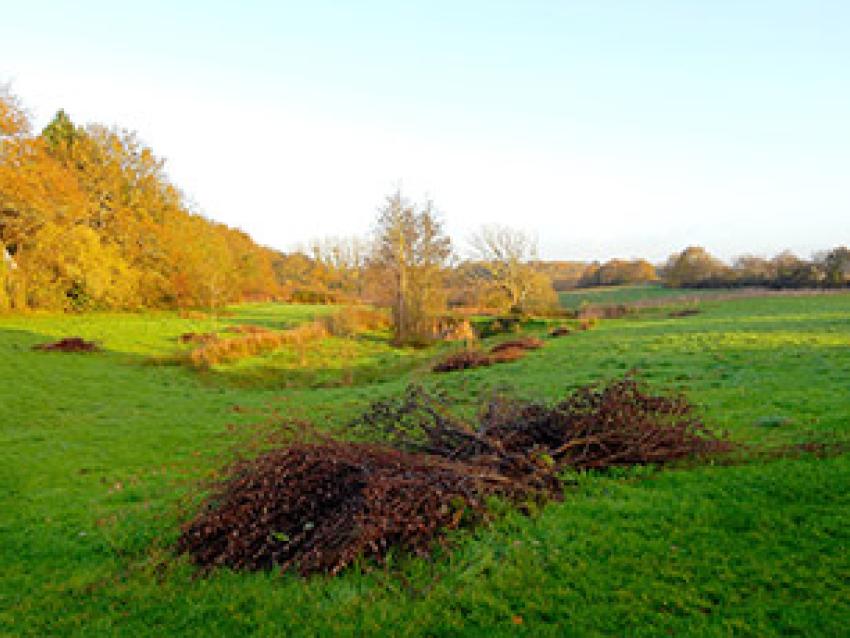 pat-pays-de-la-loire-rex.jpg