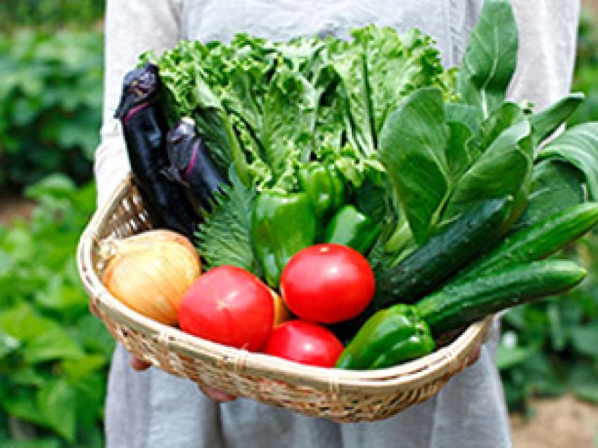 relocaliser-alimentation-circuits-courts-rex.jpg