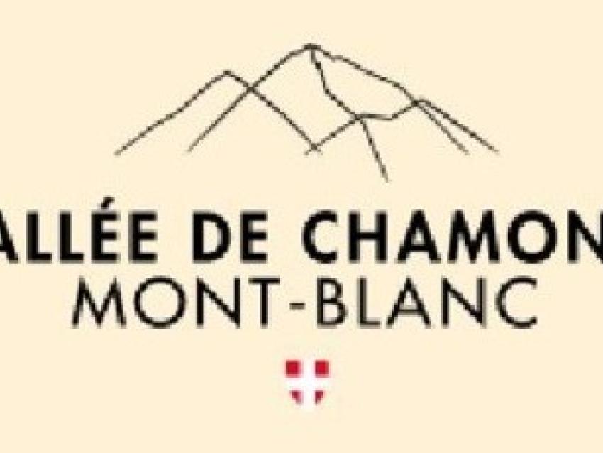 restituer-diagnostic-chamonix-rex.JPG