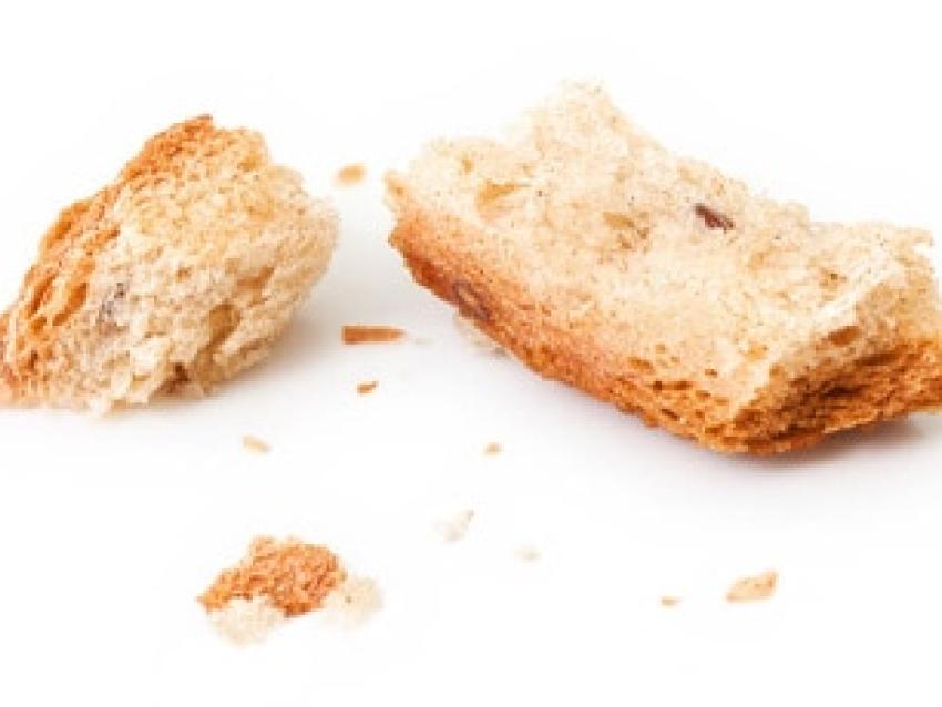 retour-experience-ecoconception-baguette-rex.jpg
