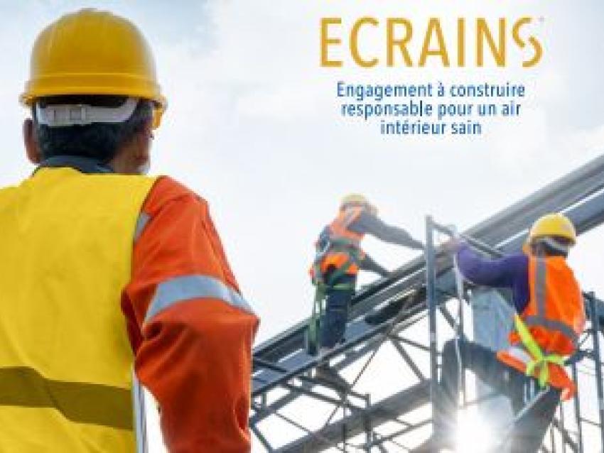 rex-ecrains-rex.jpg