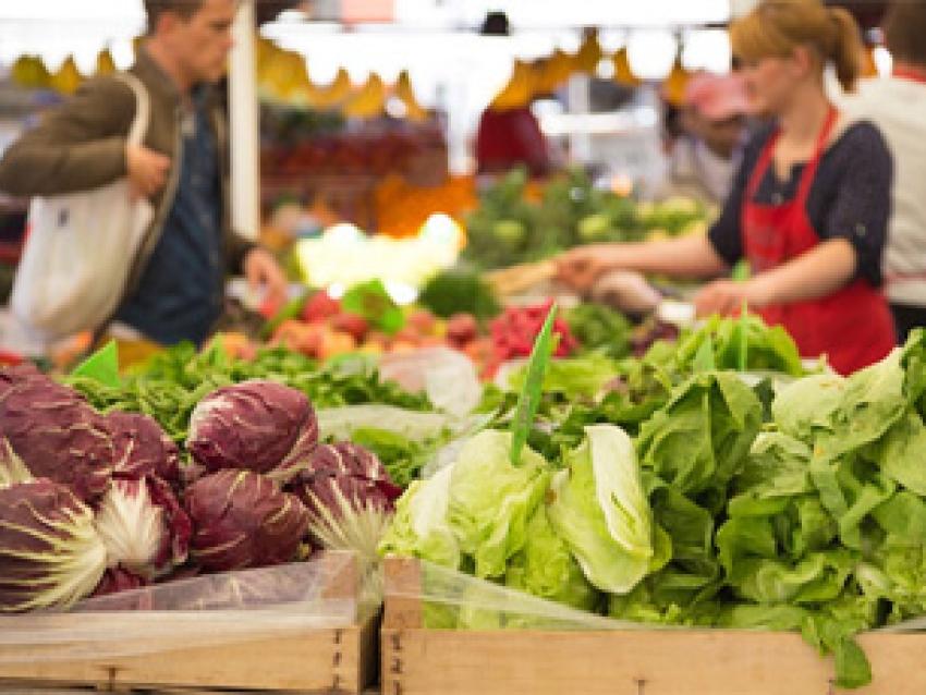 rex-lyon-systeme-alimentaire-plus-durable-rex.jpg
