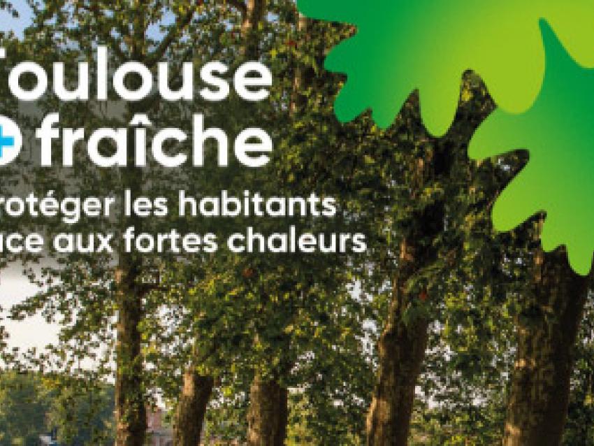 toulouse-proteger-habitants-chaleurs-rex.jpg