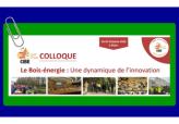 Colloque ; Le bois-énergie : une dynamique de l'innovation